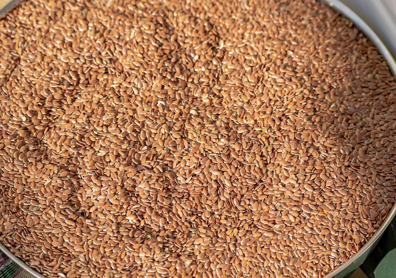 Flax Seeds