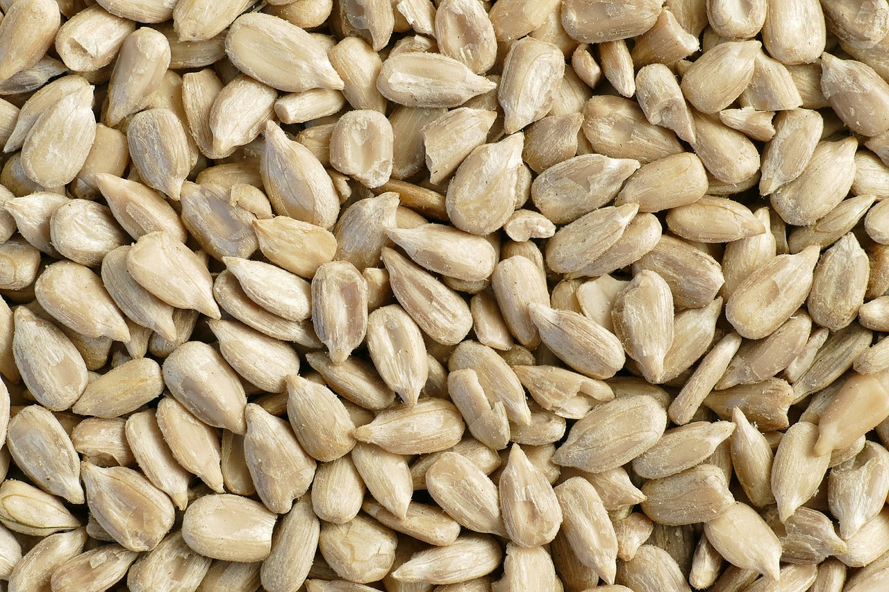 Sunflower Seeds
